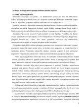 Plačiai žinomo prekės ženklas 3 puslapis