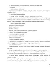 Plačiai žinomo prekės ženklas 6 puslapis