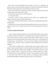 Plačiai žinomo prekės ženklas 9 puslapis