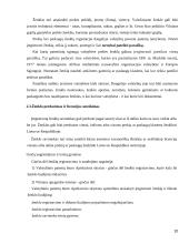 Plačiai žinomo prekės ženklas 10 puslapis
