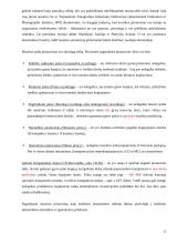 Intelektualinės nuosavybės 12 puslapis