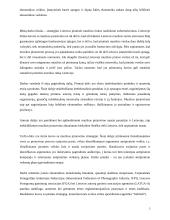 Intelektualinės nuosavybės 3 puslapis