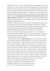 Įrody­mų ryšys su byla 19 puslapis