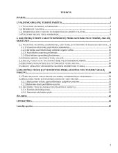 Akcininkų teisė valdyti įmonę 2 puslapis