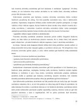 Akcininkų teisė valdyti įmonę 12 puslapis