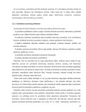 Akcininkų teisė valdyti įmonę 14 puslapis