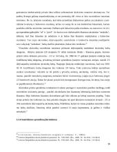 Akcininkų teisė valdyti įmonę 15 puslapis