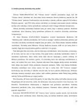 Akcininkų teisė valdyti įmonę 17 puslapis