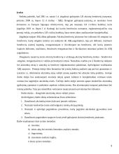 Akcininkų teisė valdyti įmonę 3 puslapis