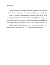 Kredito formos, Lietuvos bankų būsto kreditavimo politika 2 puslapis
