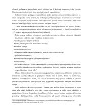 Kredito formos, Lietuvos bankų būsto kreditavimo politika 16 puslapis