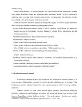 Kredito formos, Lietuvos bankų būsto kreditavimo politika 17 puslapis