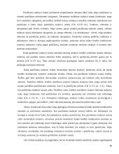 Kredito formos, Lietuvos bankų būsto kreditavimo politika 10 puslapis