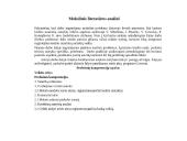 Banko ir kliento teisiniai santykiai atsirandantis paskolos sutarties pagrindu 3 puslapis