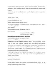 Paskolos ir vartojimo kreditai 2 puslapis