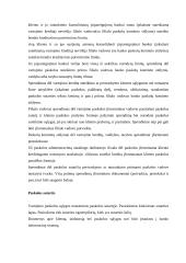 Paskolos ir vartojimo kreditai 12 puslapis