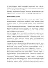 Paskolos ir vartojimo kreditai 16 puslapis