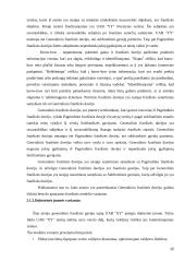 Franšizės sutarties teisinė esmė ir reguliavimas 12 puslapis