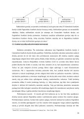 Franšizės sutarties teisinė esmė ir reguliavimas 14 puslapis