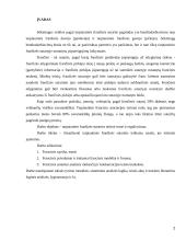 Tarptautinės franšizės sutarties teisinė esmė bei reguliavimas 2 puslapis