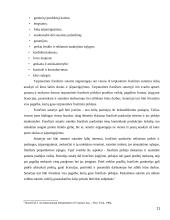 Tarptautinės franšizės sutarties teisinė esmė bei reguliavimas 11 puslapis