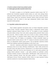 Tarptautinės franšizės sutarties teisinė esmė bei reguliavimas 12 puslapis