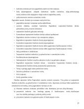 Tarptautinės franšizės sutarties teisinė esmė bei reguliavimas 17 puslapis