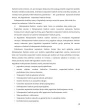 Tarptautinės franšizės sutarties teisinė esmė bei reguliavimas 19 puslapis