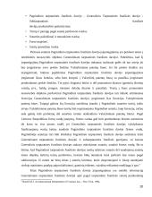 Tarptautinės franšizės sutarties teisinė esmė bei reguliavimas 20 puslapis