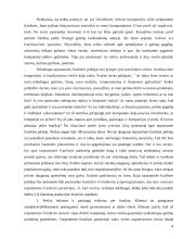 Tarptautinės franšizės sutarties teisinė esmė bei reguliavimas 4 puslapis