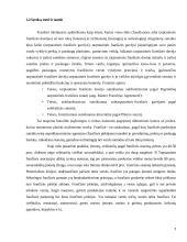 Tarptautinės franšizės sutarties teisinė esmė bei reguliavimas 7 puslapis