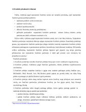 Tarptautinės franšizės sutarties teisinė esmė bei reguliavimas 8 puslapis