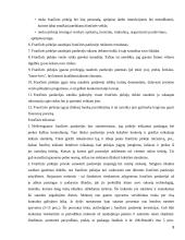 Tarptautinės franšizės sutarties teisinė esmė bei reguliavimas 9 puslapis