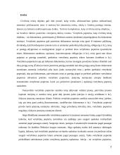 Įmonės pirkimas – pardavimas 2 puslapis