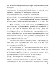 Įmonės pirkimas – pardavimas 12 puslapis