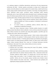 Įmonės pirkimas – pardavimas 14 puslapis