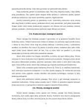 Įmonės strategija, jos svarba bei strategijos kūrimas 11 puslapis