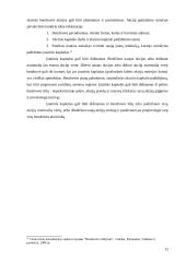 Akcinės bendrovės išstatinio kapitalo formavimas 12 puslapis