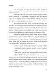 Akcinės bendrovės išstatinio kapitalo formavimas 13 puslapis