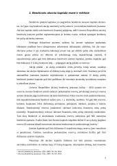 Akcinės bendrovės išstatinio kapitalo formavimas 3 puslapis