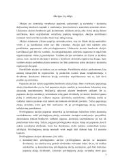 Įmonės ir jų tipai 3 puslapis