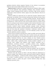 Įmonės ir jų tipai 5 puslapis