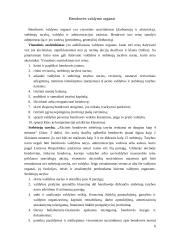 Įmonės ir jų tipai 6 puslapis