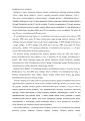 Įmonių restruktūrizavimas  12 puslapis