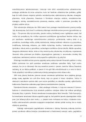 Įmonių restruktūrizavimas  13 puslapis