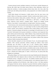 Įmonių restruktūrizavimas  16 puslapis