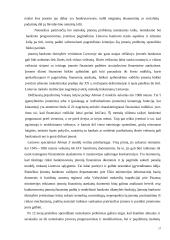 Įmonių restruktūrizavimas  17 puslapis