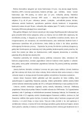 Įmonių restruktūrizavimas Lietuvoje 11 puslapis