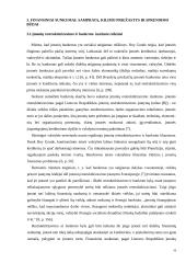 Įmonių restruktūrizavimas Lietuvoje 16 puslapis