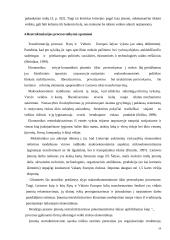 Įmonių restruktūrizavimas Lietuvoje 19 puslapis